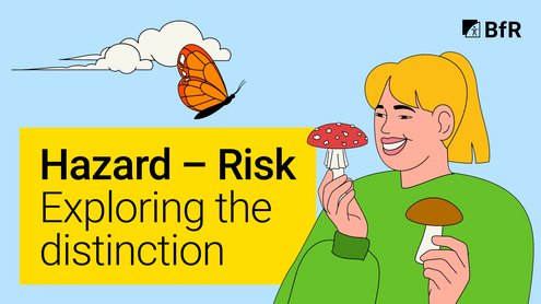 Illustration of a woman holding a fly agaric in one hand and a porcini mushroom in the other. In the bottom left corner is a yellow textbox with the video title.